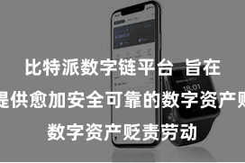 比特派数字链平台  旨在为用户提供愈加安全可靠的数字资产贬责劳动