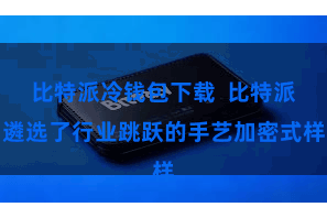 比特派冷钱包下载  比特派遴选了行业跳跃的手艺加密式样